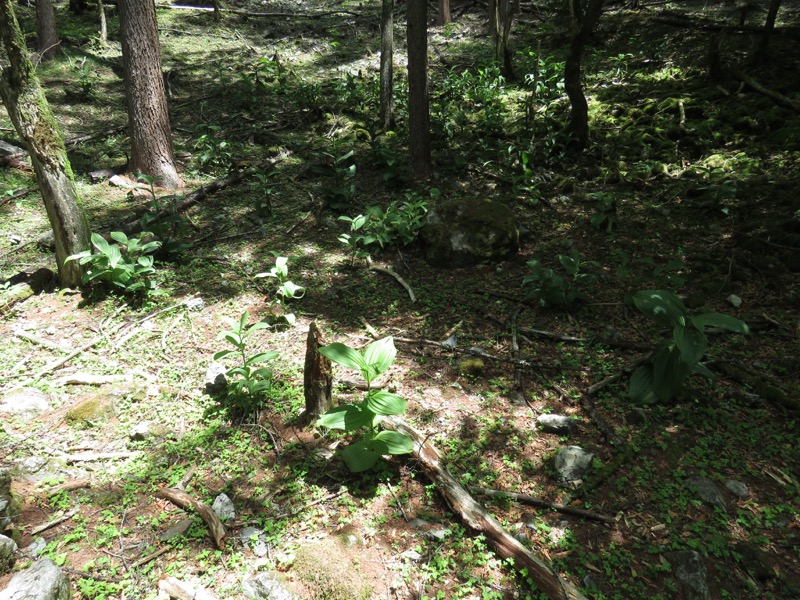 鳳凰三山