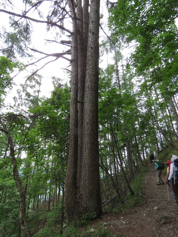 鳳凰三山