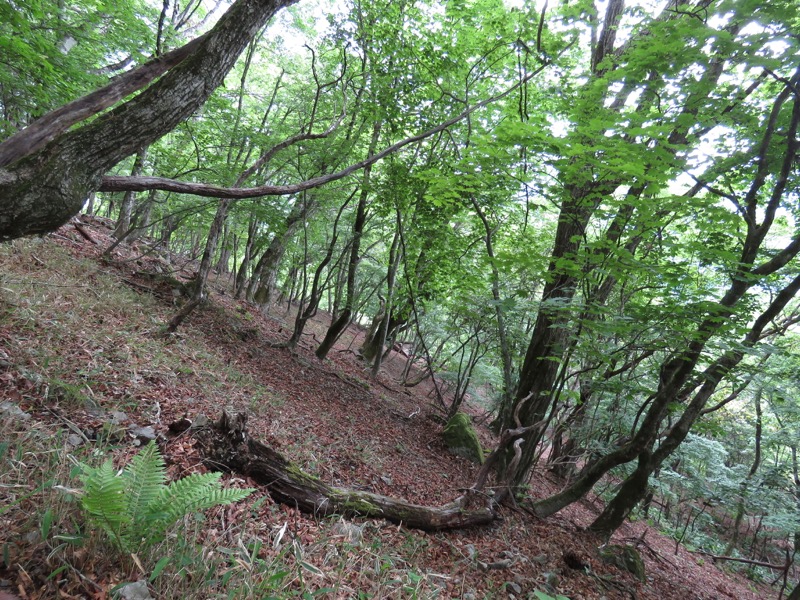 鳳凰三山
