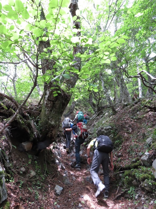 鳳凰三山