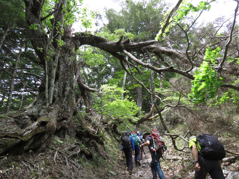 鳳凰三山