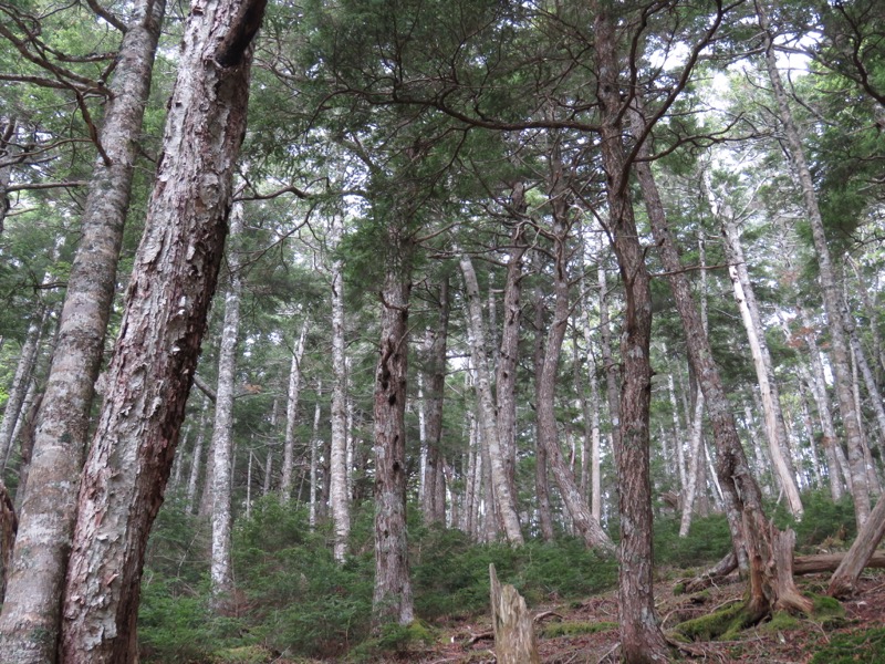 鳳凰三山