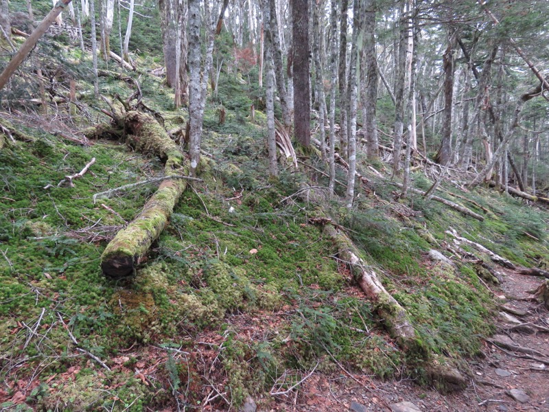 鳳凰三山