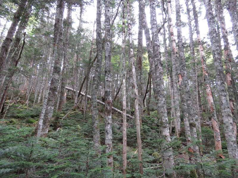 鳳凰三山