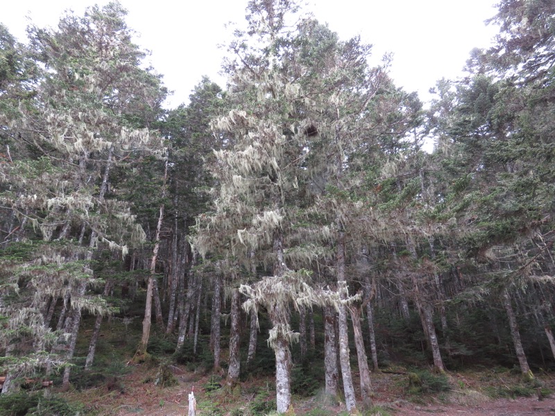 鳳凰三山