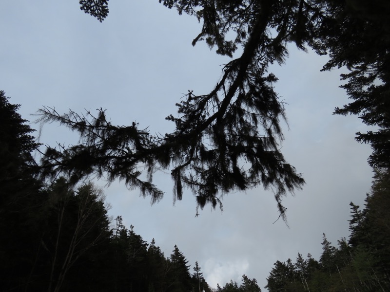 鳳凰三山