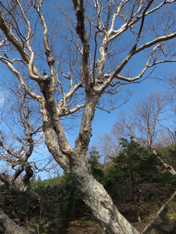 鳳凰三山