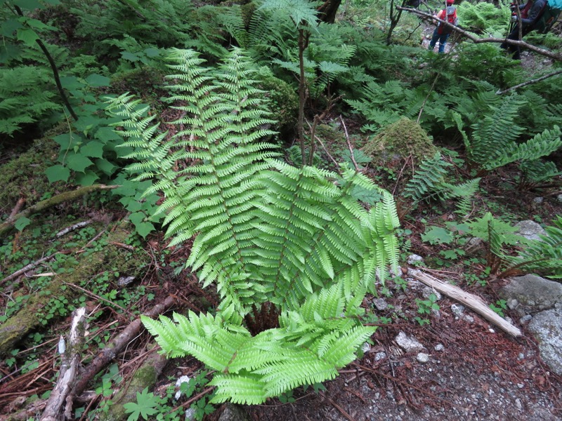 鳳凰三山