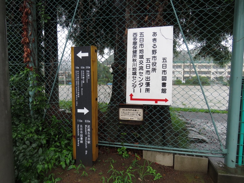 南沢あじさい山登山