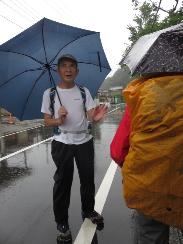 南沢あじさい山登山