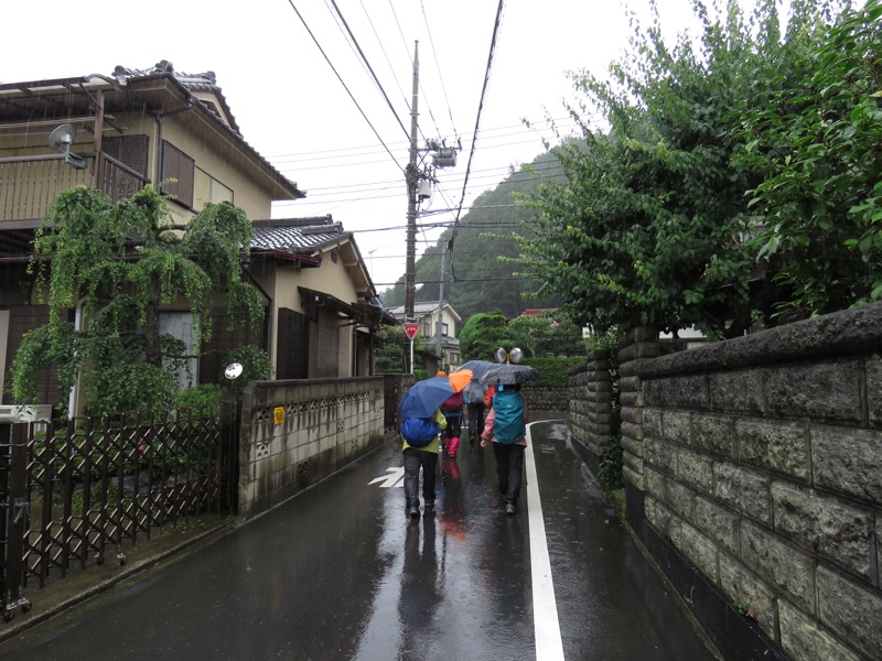 南沢あじさい山登山