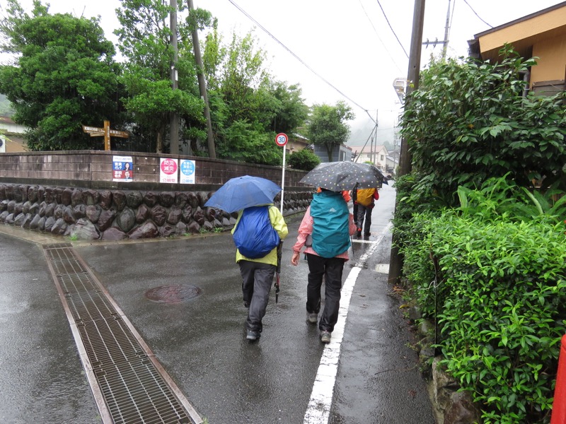 南沢あじさい山登山