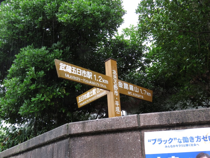 南沢あじさい山登山