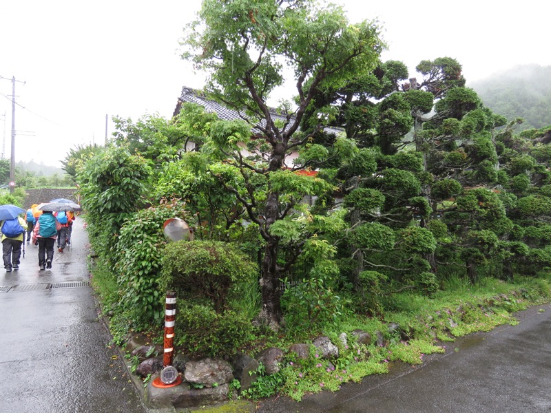 南沢あじさい山登山