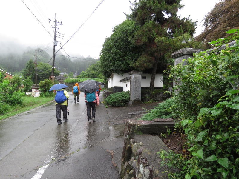 南沢あじさい山登山