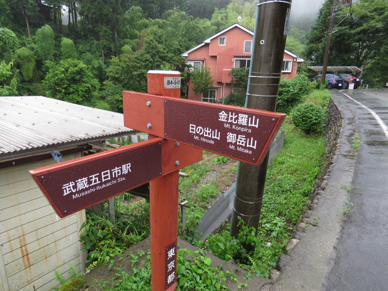 南沢あじさい山登山