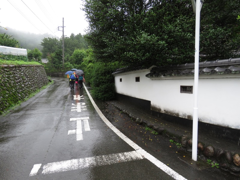 南沢あじさい山登山