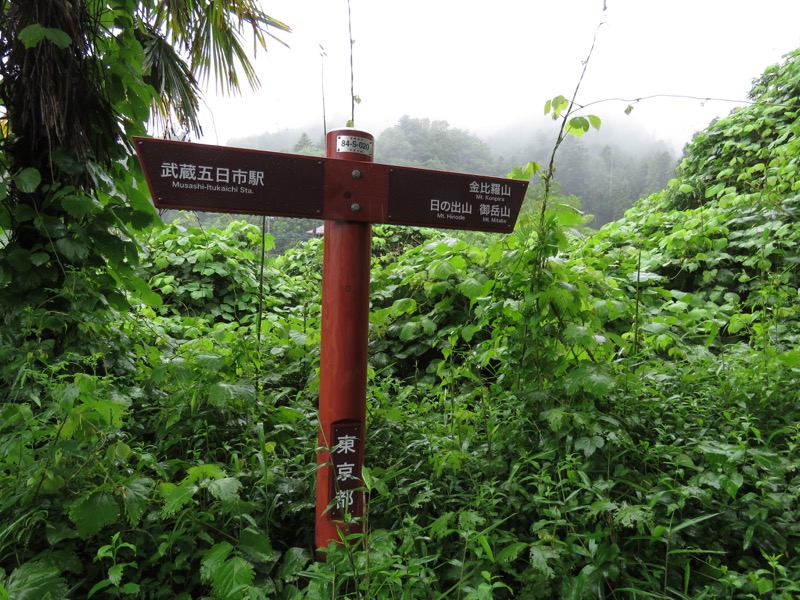 南沢あじさい山登山