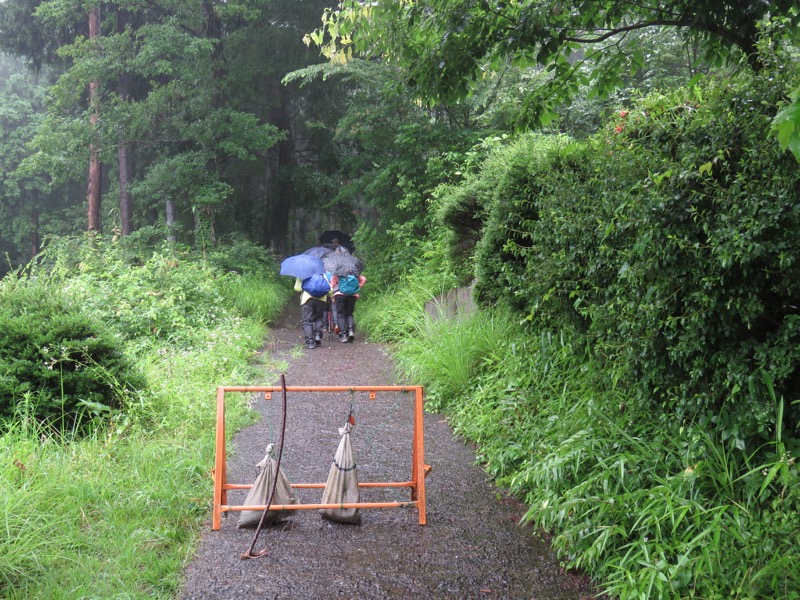 南沢あじさい山登山