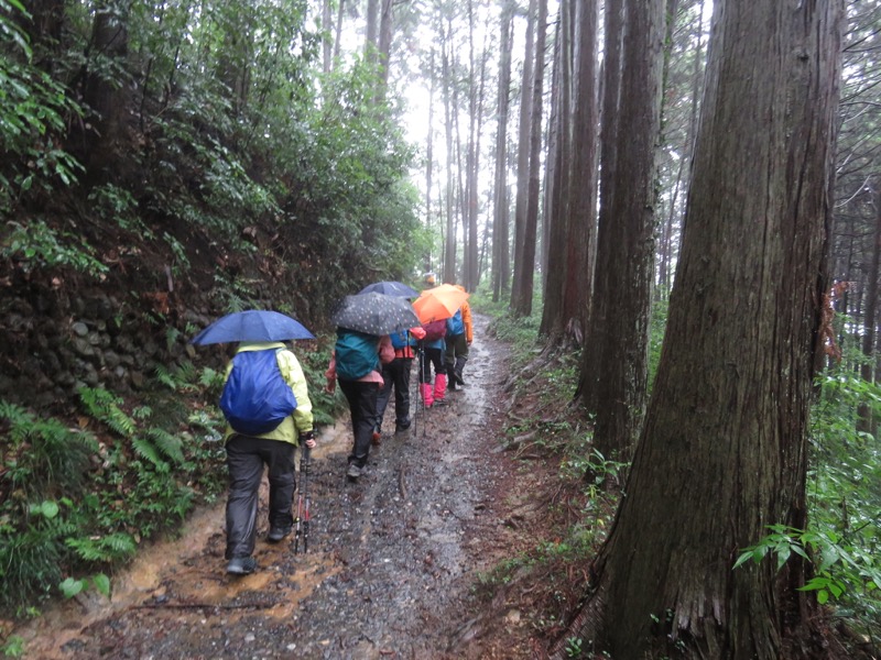 南沢あじさい山登山