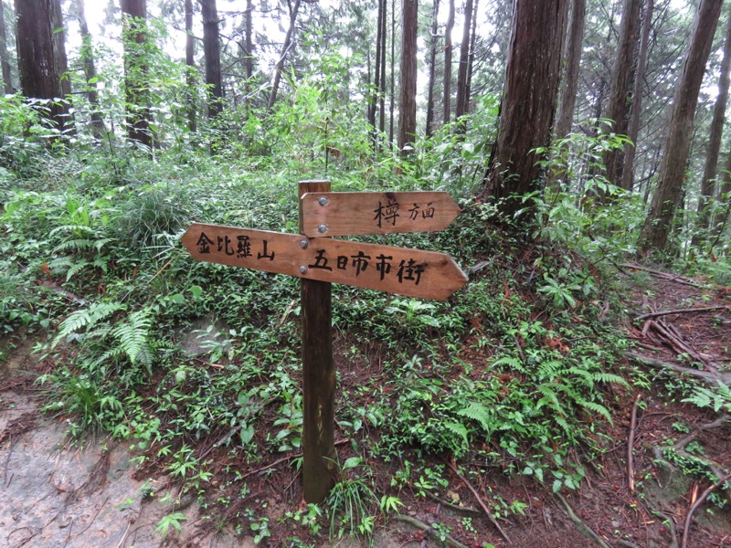南沢あじさい山登山