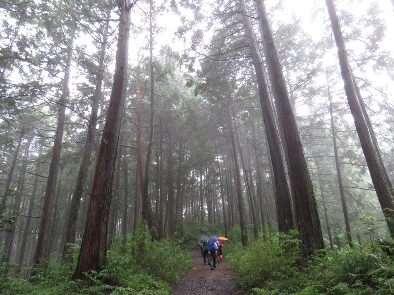 南沢あじさい山登山