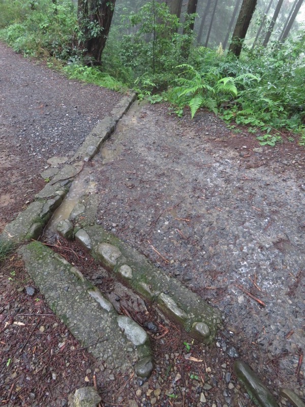 南沢あじさい山登山
