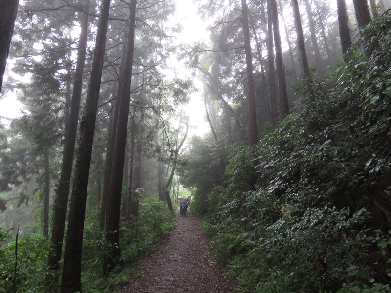 南沢あじさい山登山