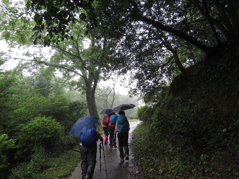 南沢あじさい山登山
