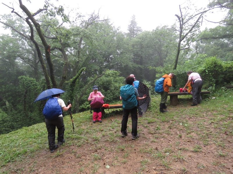 南沢あじさい山登山