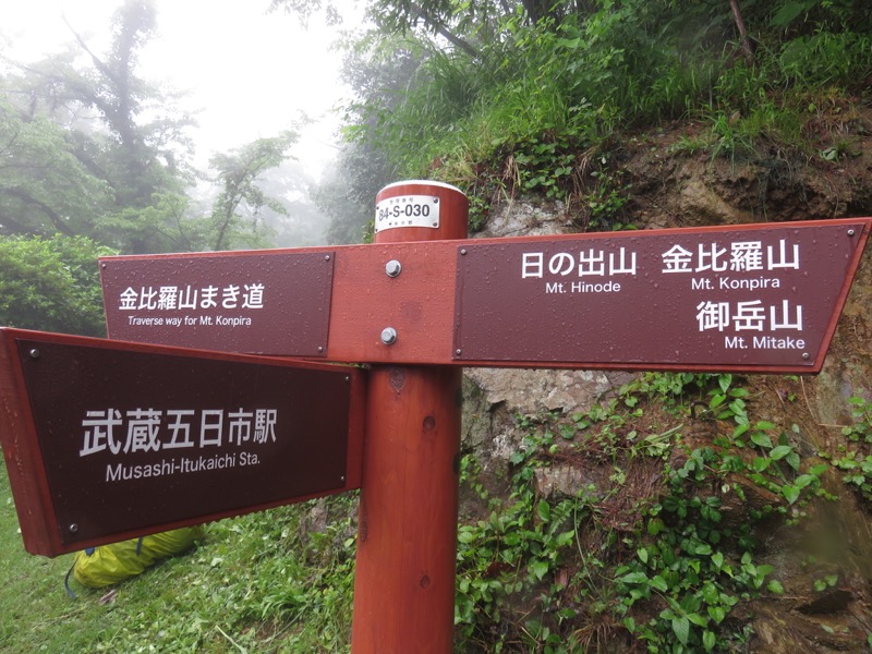 南沢あじさい山登山