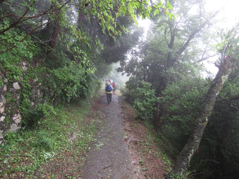 南沢あじさい山登山