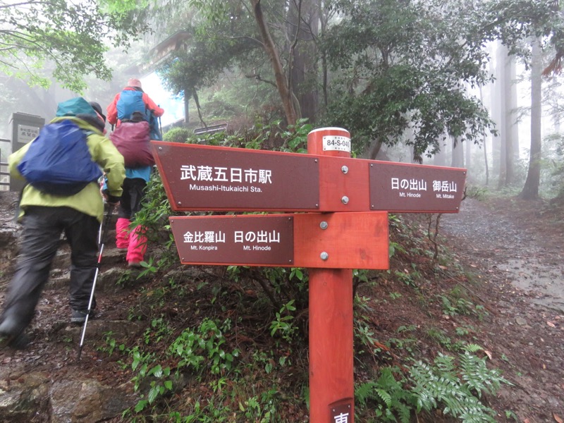南沢あじさい山登山