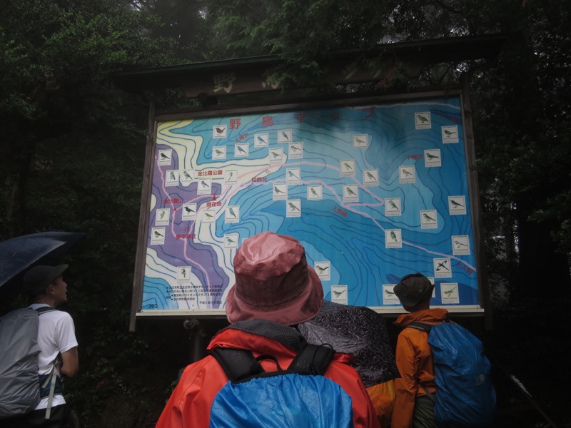 南沢あじさい山登山