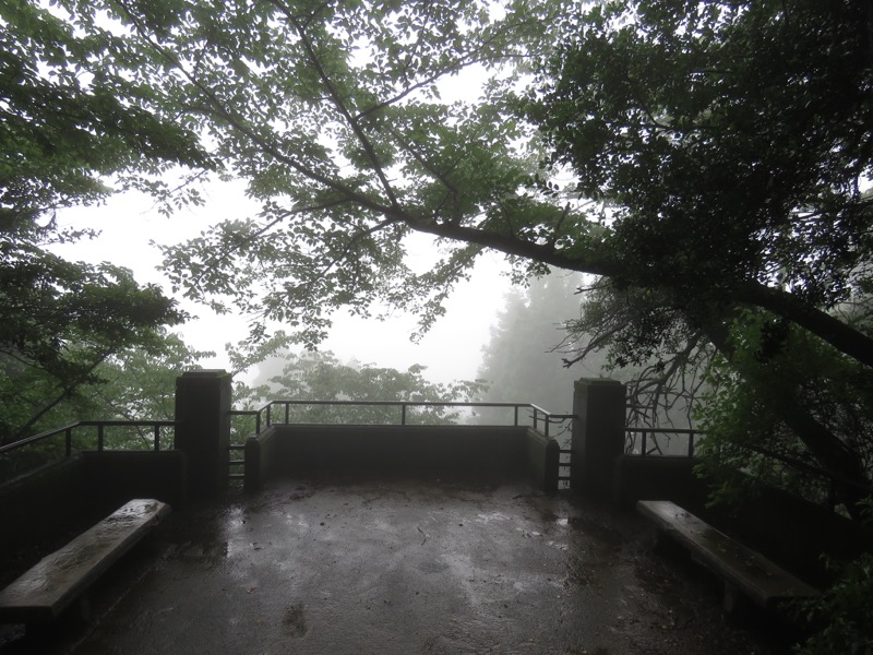 南沢あじさい山登山