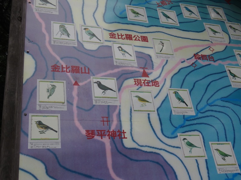 南沢あじさい山登山