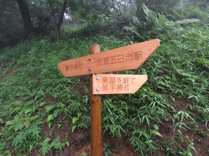 南沢あじさい山登山