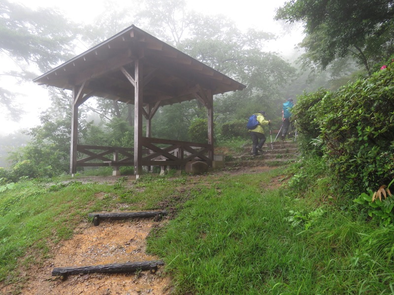 南沢あじさい山登山