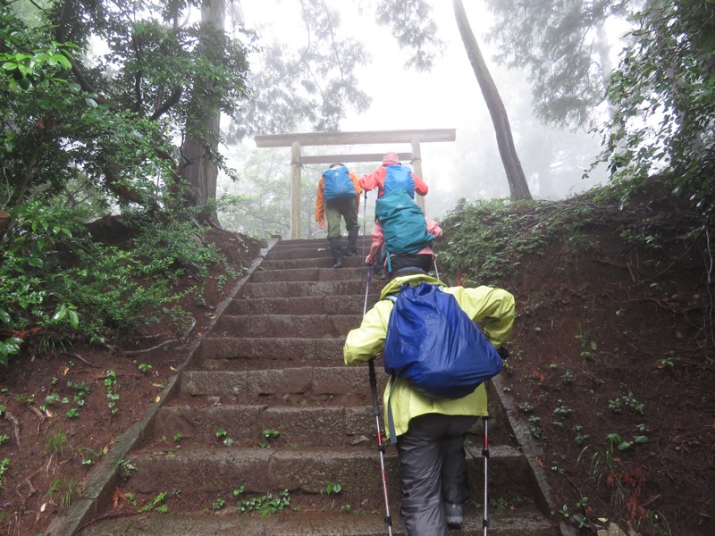 南沢あじさい山登山