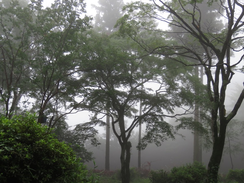 南沢あじさい山登山