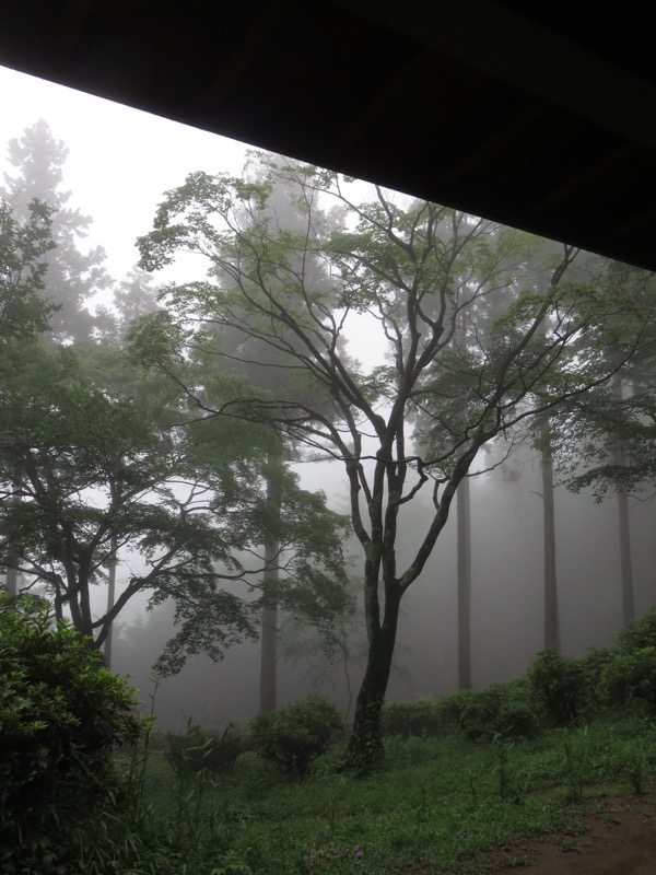 南沢あじさい山登山