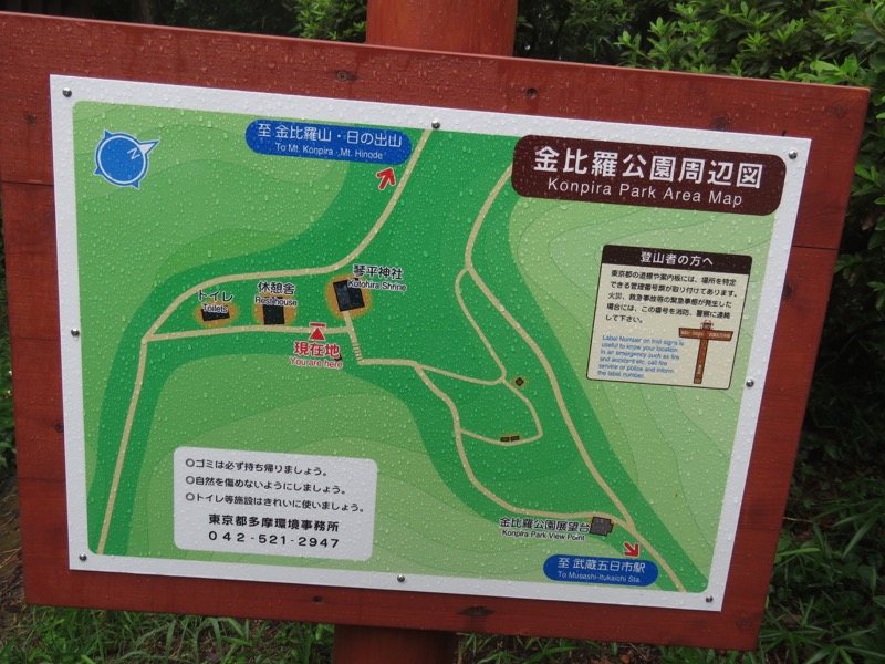 南沢あじさい山登山