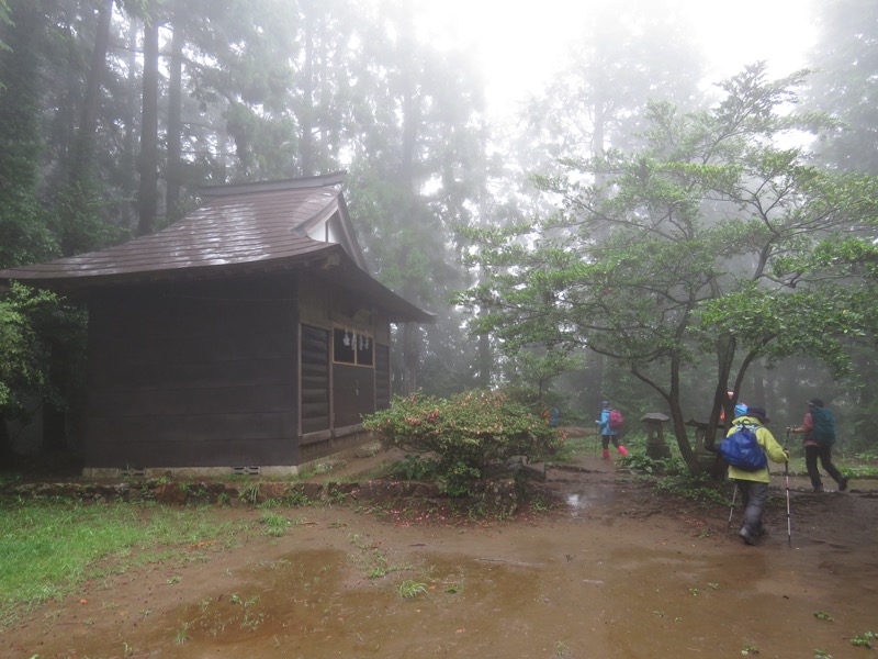 南沢あじさい山登山