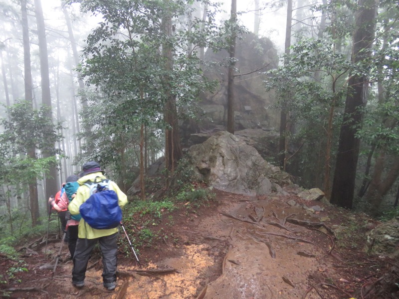 南沢あじさい山登山