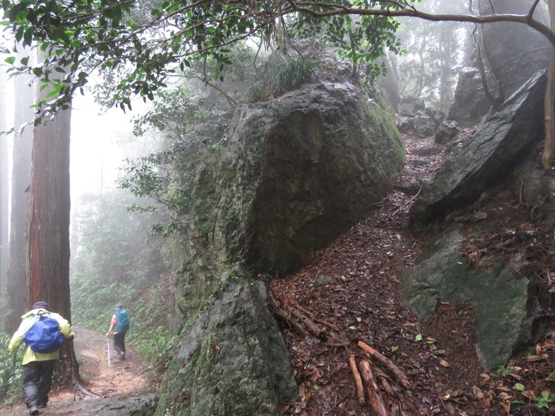 南沢あじさい山登山