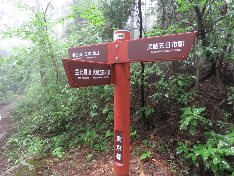 南沢あじさい山登山