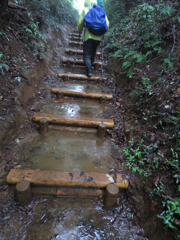 南沢あじさい山登山