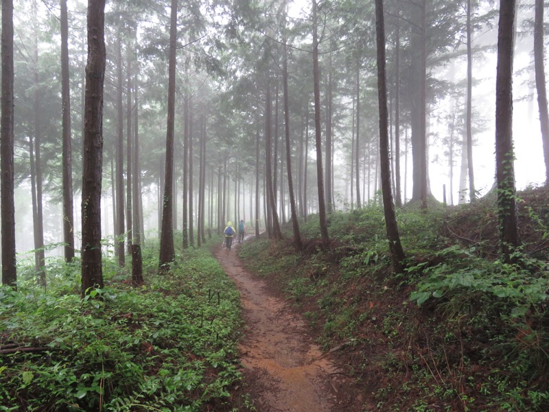 南沢あじさい山登山
