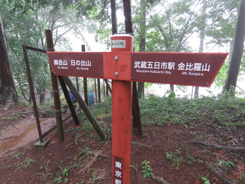 南沢あじさい山登山