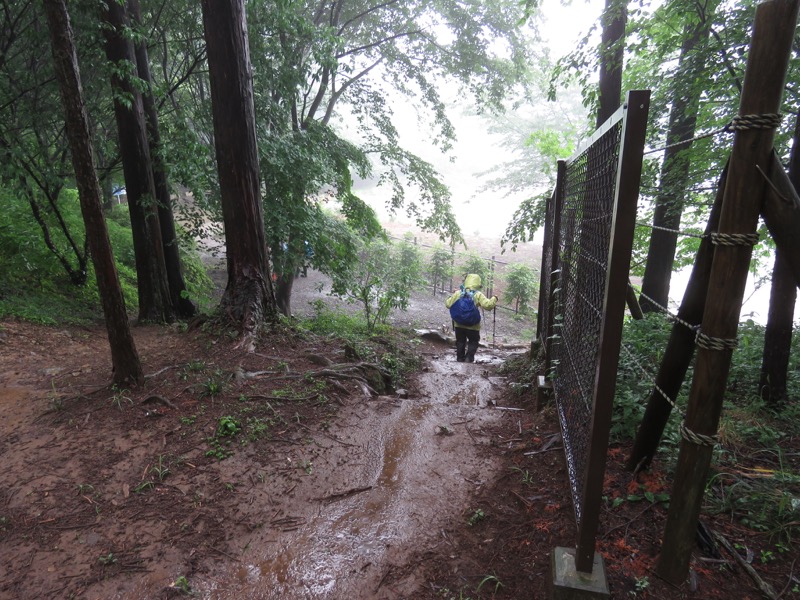 南沢あじさい山登山